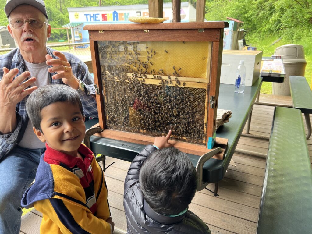 Color photo of two small children looking at honeybees working in a display pane. An older gentleman face them and is speaking.