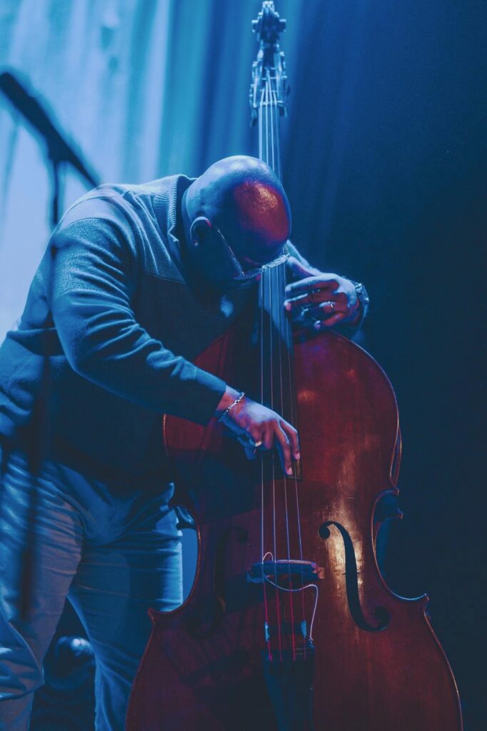 Color photo of a musician playing a standing bass on a darkened stage.