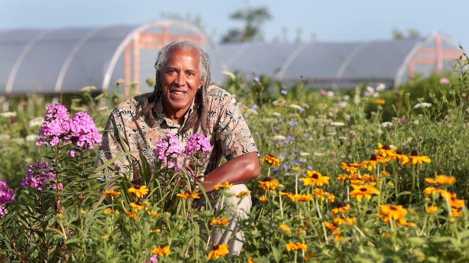 Jim Embry crouches down in a field of wild flowers. Poly tunnels can be seen behind him.