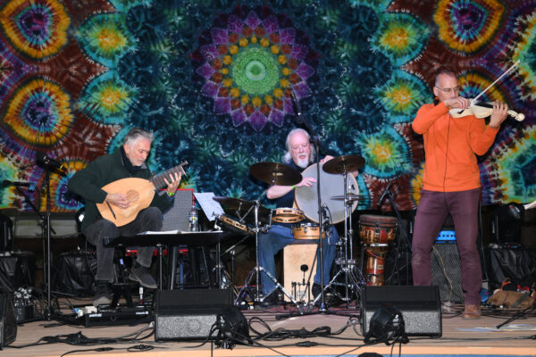 Three musicians perform using traditional instruments.
