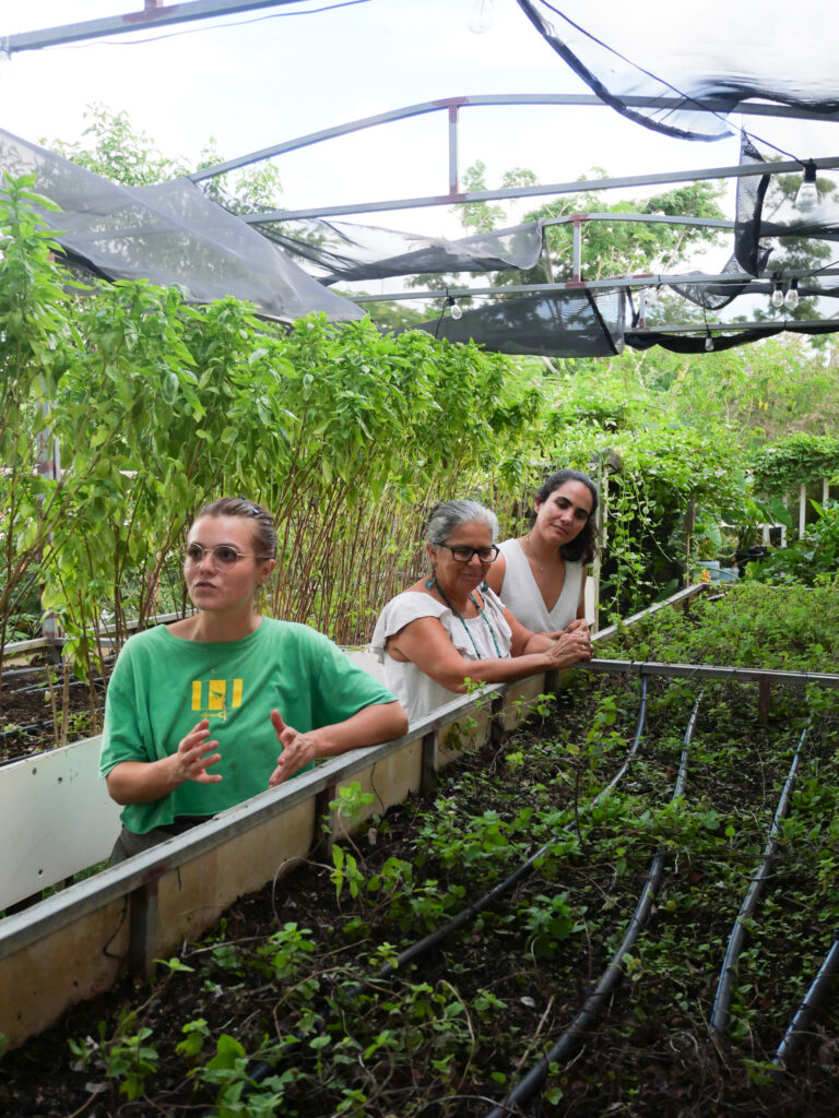 Dulce del Rio-Pineda, Sofia Reeser del Rio, and Marissa Otero of Mujeres de Islas, in their community garden and greenhouse.