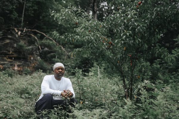A man kneels next to a peach tree.