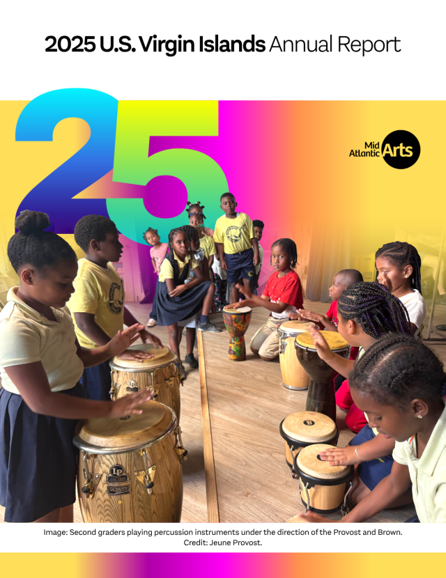 Cover of the US Virgin Islands State Report.